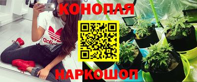 спайс Ликино-Дулёво