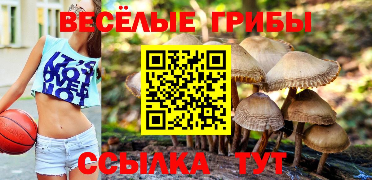 Галлюциногенные грибы мицелий  Вход с VPN  Таганрог 